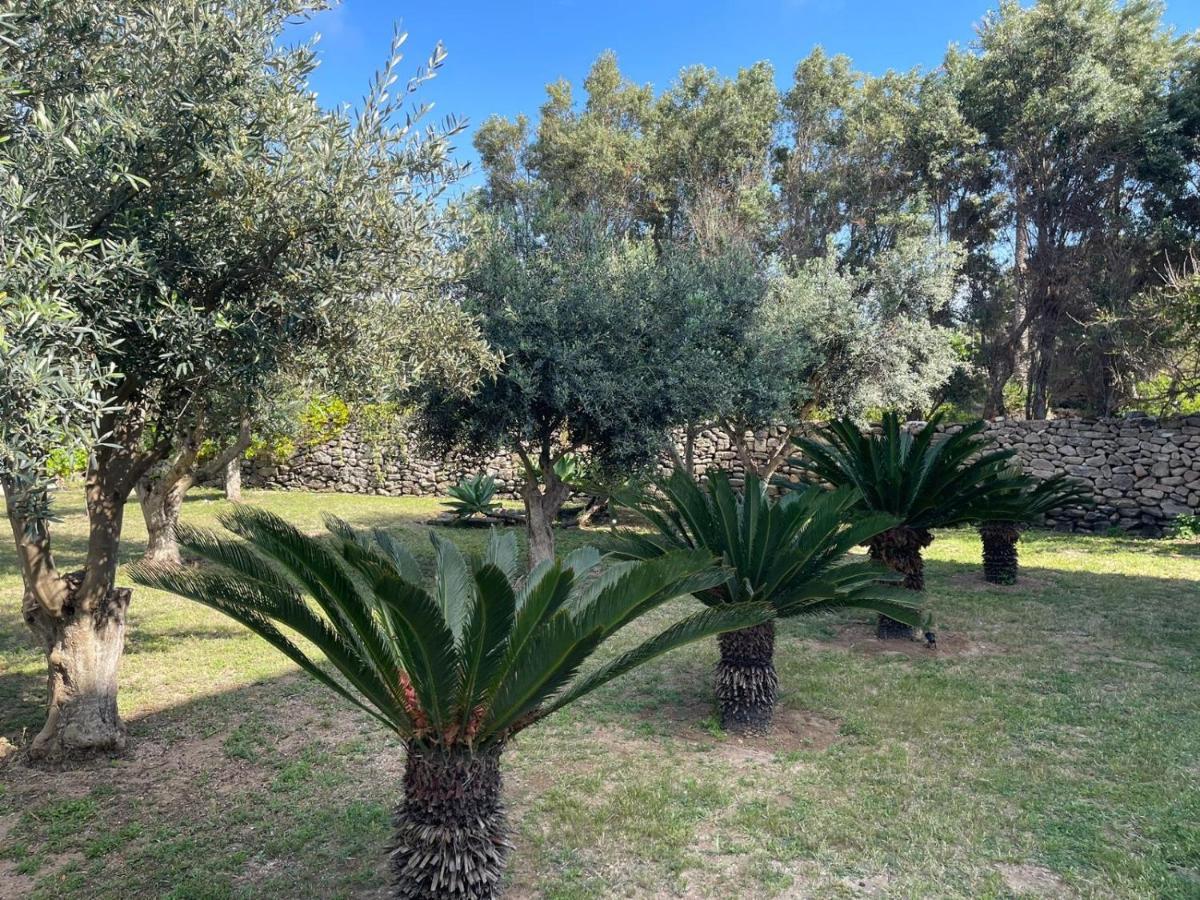 Calafato Guest House Favignana Exterior photo